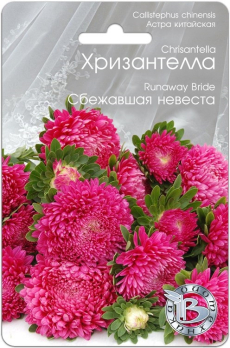 Хризантелла Сбежавшая невеста /Биотехника/