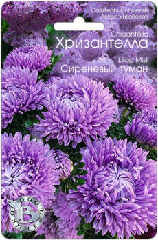 Хризантелла (Астра китайская) Сиреневый туман (30шт) /Биотехника/