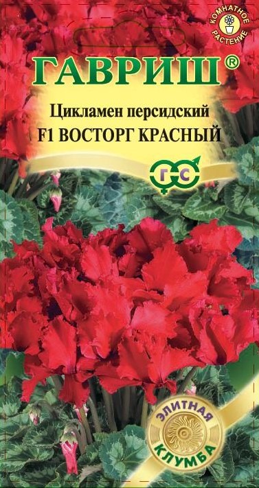 Цикламен Восторг красный F1 махровый 3шт /Гавриш/
