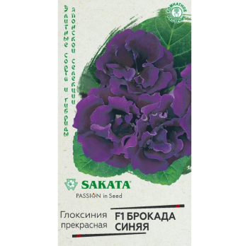 Глоксиния Брокада синяя F1 5шт /Гавриш/ SAKATA