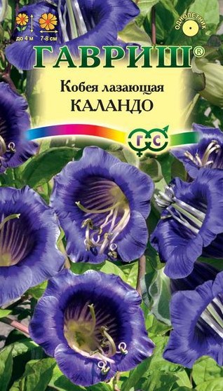Кобея лазающая Каландо 5шт /Гавриш/