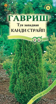 Туя западная Канди Страйп 0,05г /Гавриш/