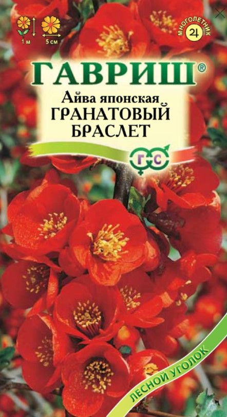 Айва японская Гранатовый браслет 0,3г /Гавриш/ Хеномелес