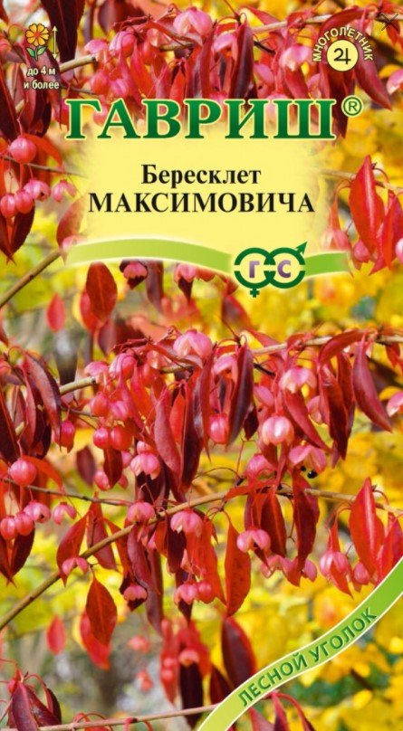 Бересклет Максимовича 0,2г /Гавриш/