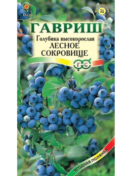 Голубика высокорослая Лесное сокровище 30шт /Гавриш/