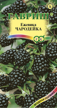 Ежевика Чародейка 10шт /Гавриш/