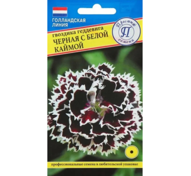 Гвоздика Черная с белой каймой 15шт /Престиж/