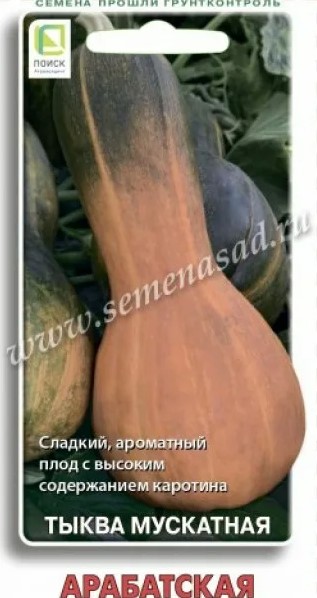 Тыква мускатная Арабатская (10шт) /Поиск/