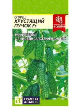 Огурец Хрустящий Пучок F1 (6шт) /Семена Алтая/