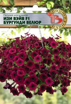 Петуния каскадная Изи Вэйв F1 Бургунди Велюр /Биотехника/