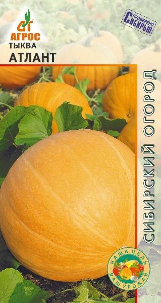 Тыква Атлант (3шт) /Агрос/