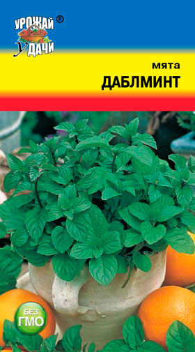 Мята Даблминт /Урожай удачи/