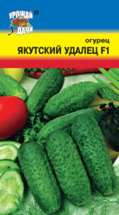 Огурец Якутский удалец F1 /Урожай удачи/