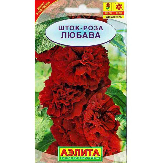 Шток-роза Любава /Аэлита/
