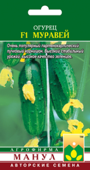 Огурец Муравей F1 (10шт, Авторские) /Манул/