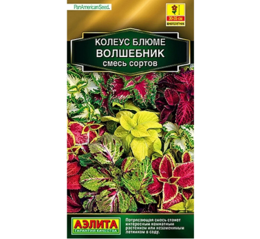 Колеус блюме Волшебник, смесь сортов /Аэлита/