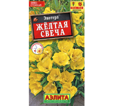 Энотера Желтая свеча /Аэлита/