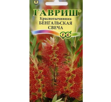Краснотычинник Бенгальская свеча /Гавриш/