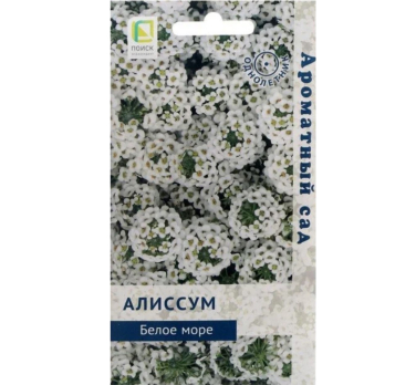 Алиссум Белое море (0,3 г) /Поиск/