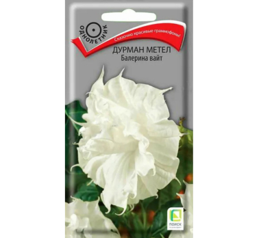 Дурман метел Балерина вайт (3 шт) /Поиск/