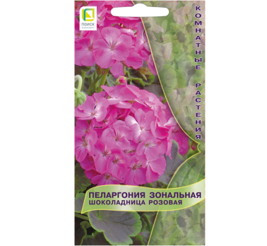 Пеларгония зональная Шоколадница Розовая (5 шт) /Поиск/