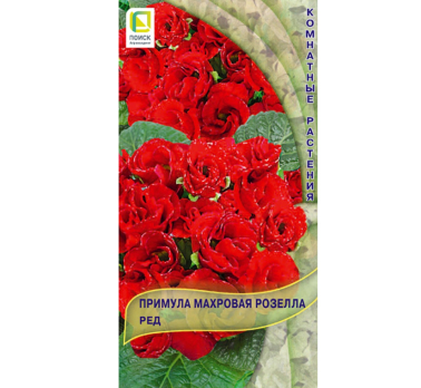 Примула махровая Розелла Ред (5 шт) /Поиск/