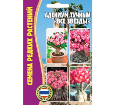 Адениум Все Звёзды 3шт /Григорьев/