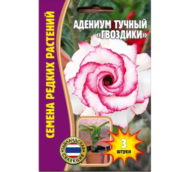 Адениум Гвоздики 3шт /Григорьев/
