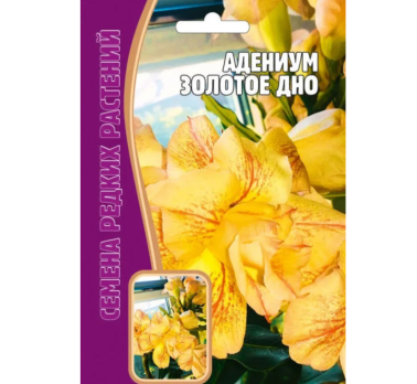 Адениум Золотое Дно 3 шт. /Григорьев/