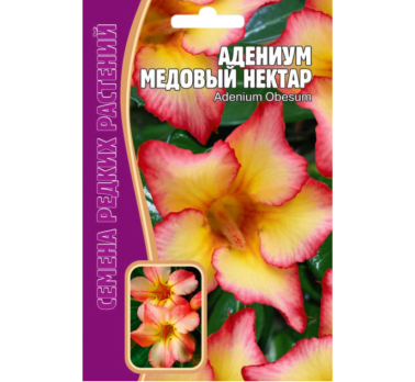 Адениум Медовый Нектар 3 шт. /Григорьев/