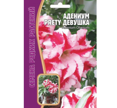 Адениум Прелестная Девушка  3 шт. /Григорьев/