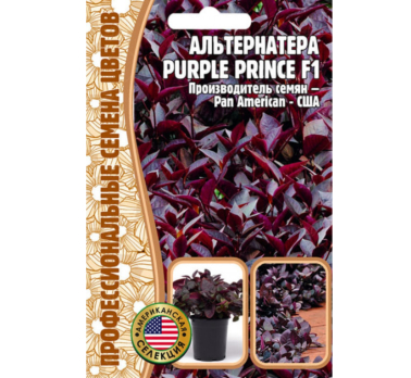 Альтернатера Purple Prince F1 3 шт. /Григорьев/