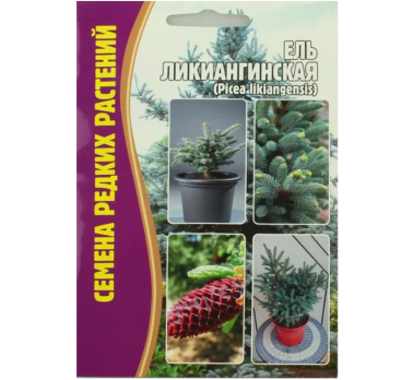 Ель Ликиангинская (Picea likiangensis)  15 шт. /Григорьев/