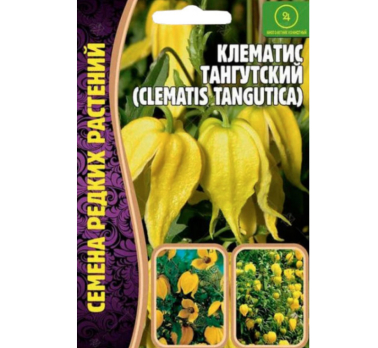 Клематис Тангутский 10шт (Clematis tangutica) /Григорьев/
