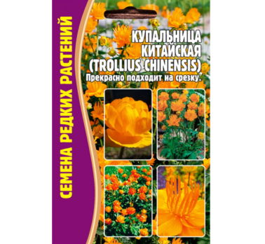 Купальница китайская 20шт (Trollius chinensis) /Григорьев/