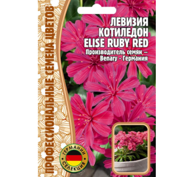 Левизия Котиледон Elise Ruby Red 3шт /Григорьев/