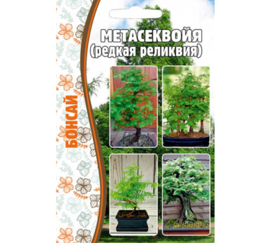 Метасеквойя 10 шт. /Григорьев/
