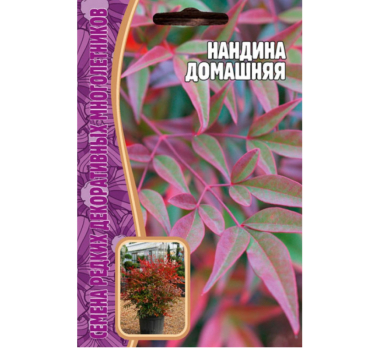 Нандина Домашняя 4шт /Григорьев/