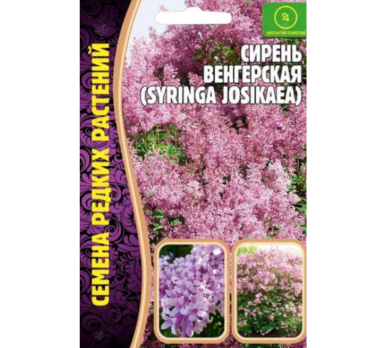 Сирень венгерская 10шт /Григорьев/