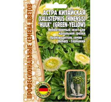 Астра китайская