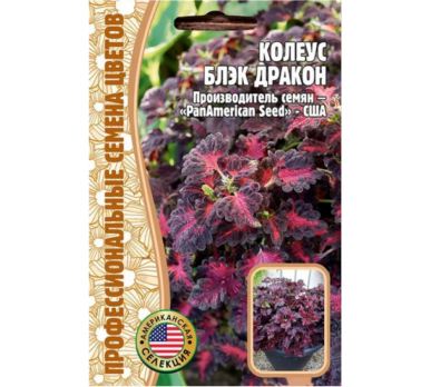 Колеус Блэк Дракон 10шт /Григорьев/