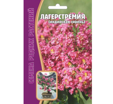 Лагерстремия (индийская сирень) 10шт /Григорьев/