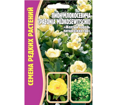 Пион Млокосевича (Paeonia mlokosewitschii) 3шт. /Григорьев/