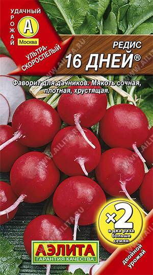 Редис 16 дней /Аэлита/