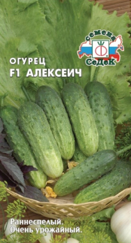 Огурец Алексеич F1 /Седек/