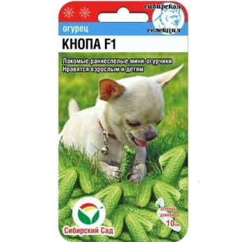 Огурец Кнопа F1 7шт /Сибирский сад/