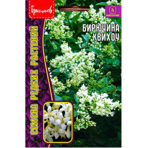 Бирючина Квихоу 10шт (Ligustrum quihoui) /Григорьев/