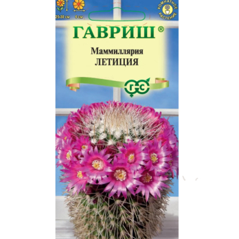 Маммиллярия Бакеберга (Кактус) Летиция 2шт /Гавриш/