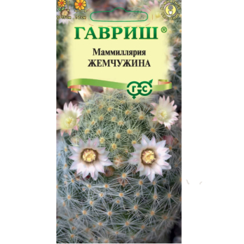 Маммиллярия Шейдвелардиана (Кактус) Жемчужина 2шт /Гавриш/
