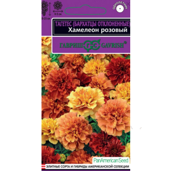 Бархатцы отклоненные Хамелеон розовый 5шт /Гавриш/ серия Эксклюзив